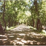 300px-Caminodelaviamuerta1